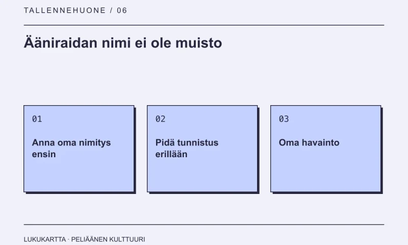 Lukukartta: Ääniraidan nimi ei ole muisto. Anna oma nimitys ensin, Pidä tunnistus erillään, Oma havainto.